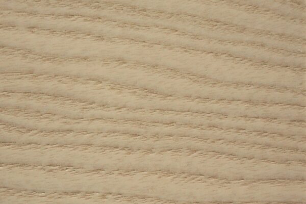 18 - Frassino Artico