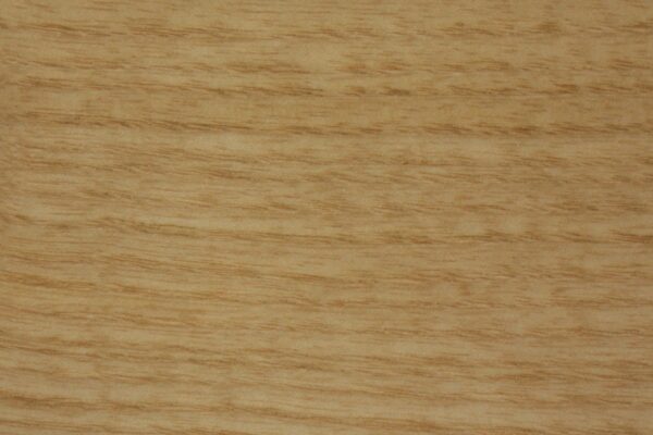 17 - Frassino Ledune